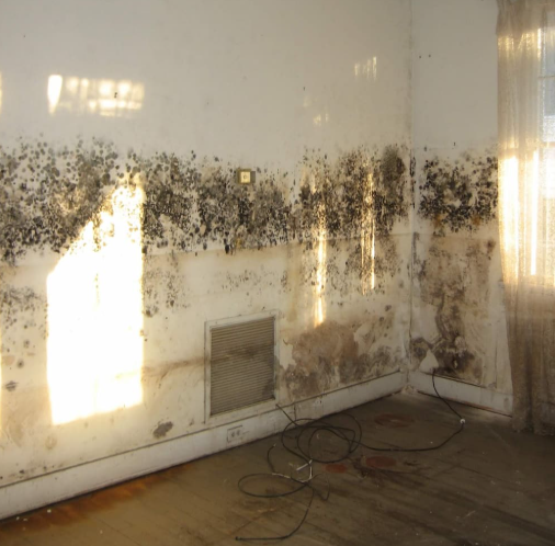 Zwarte schimmel op wand rond ventilatierooster in Amsterdamse woning